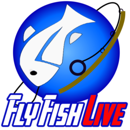 FLY FISH LIVE